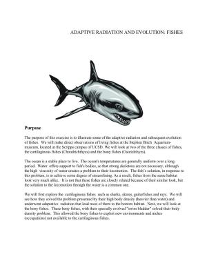 Adaptive Radiation and Evolution: Fishes