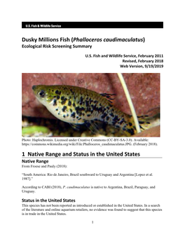 Phalloceros Caudimaculatus (Dusky Millions Fish) Ecological Risk