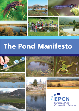 The Pond Manifesto
