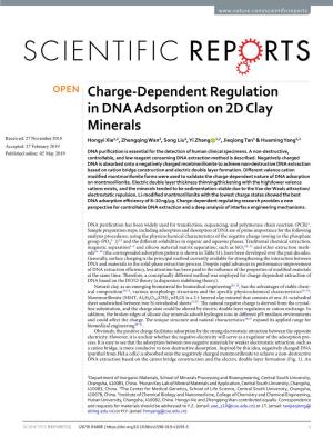 Charge-Dependent Regulation in DNA Adsorption on 2D Clay Minerals