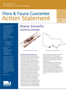 Otway Stonefly (Eusthenia Nothofagi)
