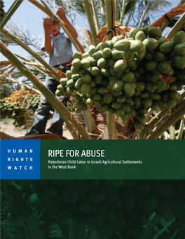 RIPE for ABUSE RIGHTS Palestinian Child Labor in Israeli Agricultural Settlements WATCH in the West Bank
