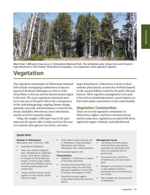 Yellowstone National Park, Resources and Issues, Vegetation