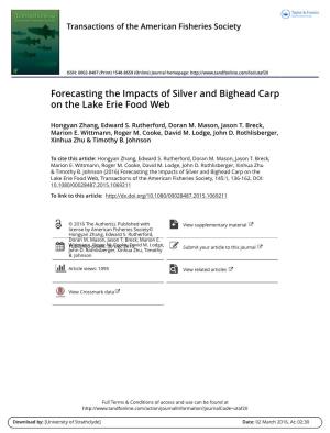 Forecasting the Impacts of Silver and Bighead Carp on the Lake Erie Food Web