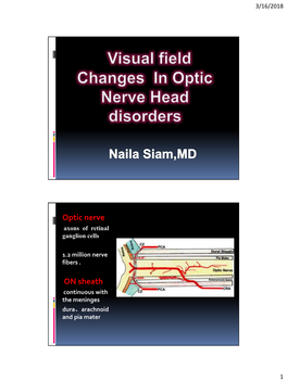 Optic Nerve on Sheath：