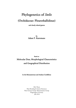Phylogenetics of Stelis (Orchidaceae: Pleurothallidinae)