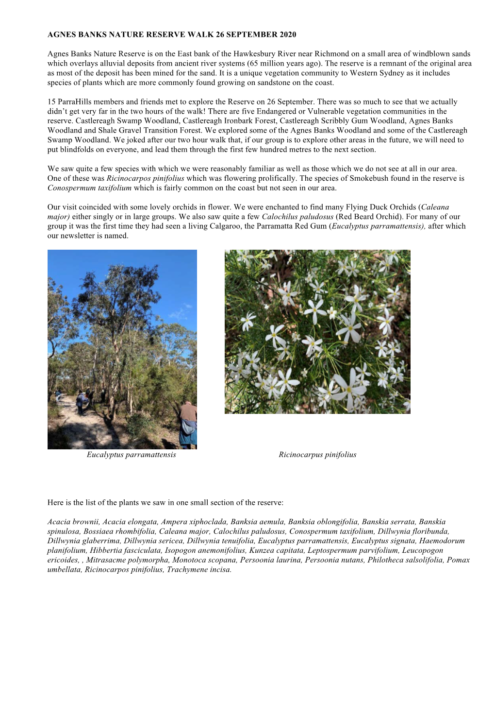Agnes Banks Nature Reserve Report.Pdf