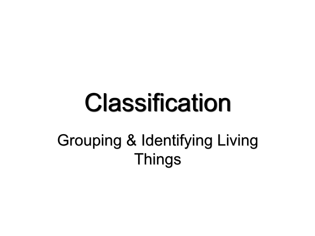 Classification