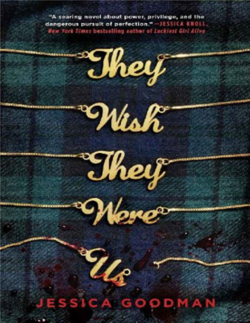 They Wish They Were Us / Jessica Goodman