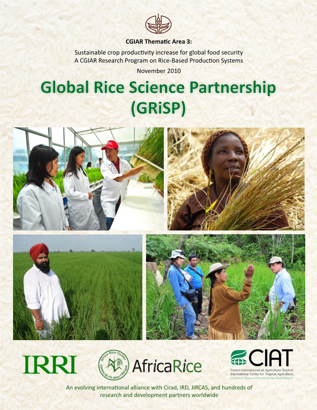 Global Rice Science Partnership (Grisp)