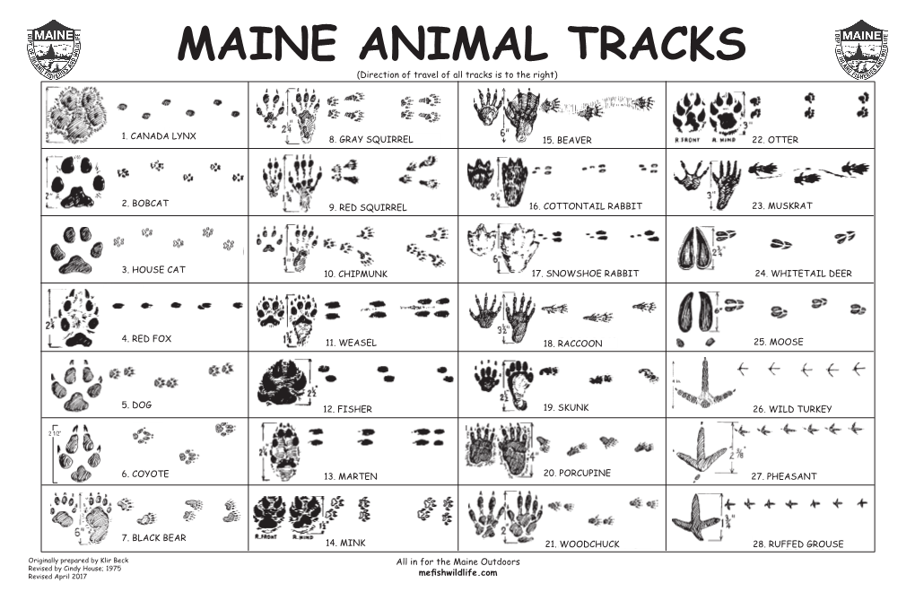 Animal Tracks Poster 2017.Indd