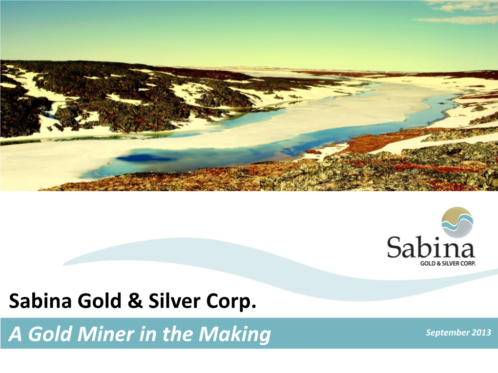 Sabina Gold & Silver Corp. a Gold Miner in the Making