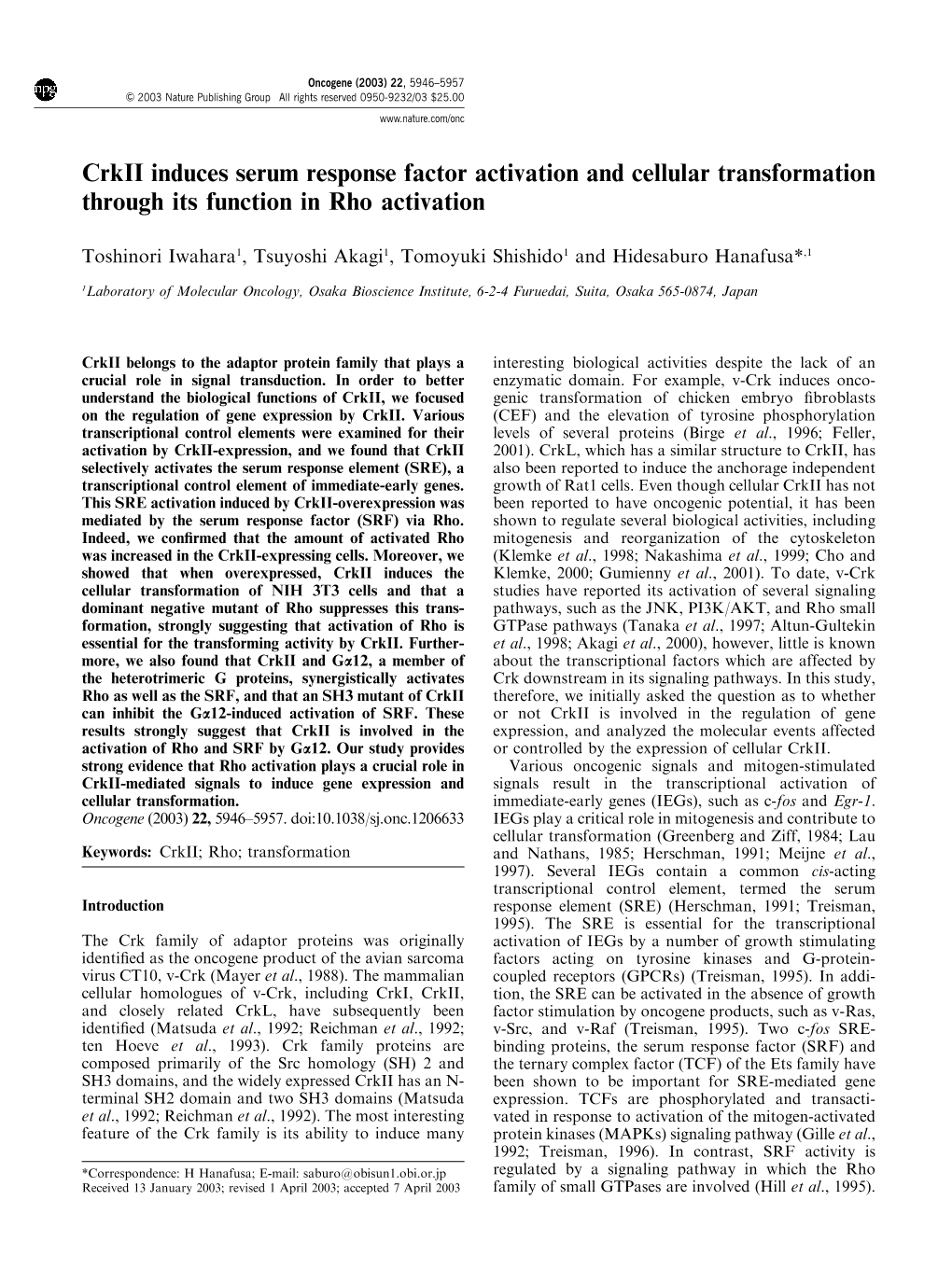 Crkii Induces Serum Response Factor Activation and Cellular Transformation Through Its Function in Rho Activation