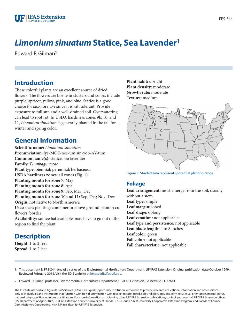 Limonium Sinuatum Statice, Sea Lavender1 Edward F