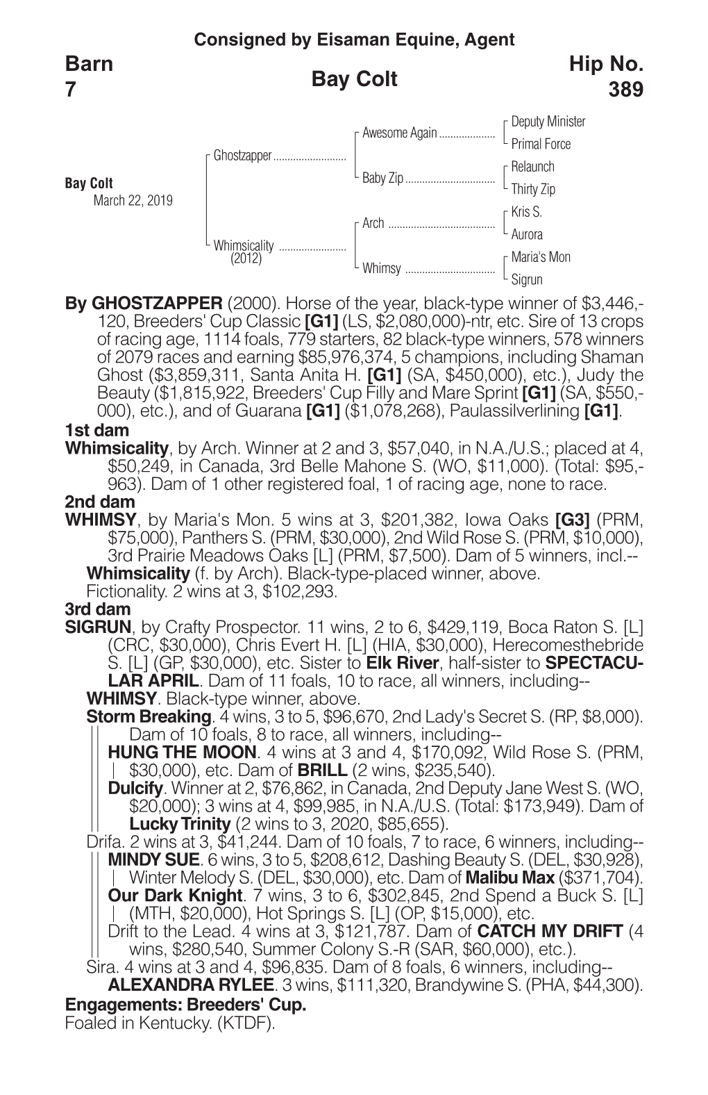 Bay Colt Barn 7 Hip No