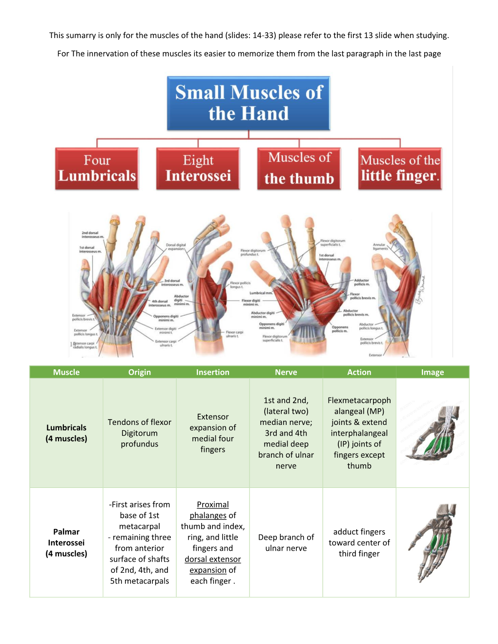 This Sumarry Is Only for the Muscles of the Hand (Slides: 14-33) Please Refer to the First 13 Slide When Studying