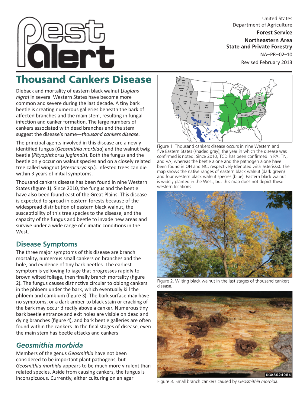 USDA Thousand Cankers Disease Pest Alert