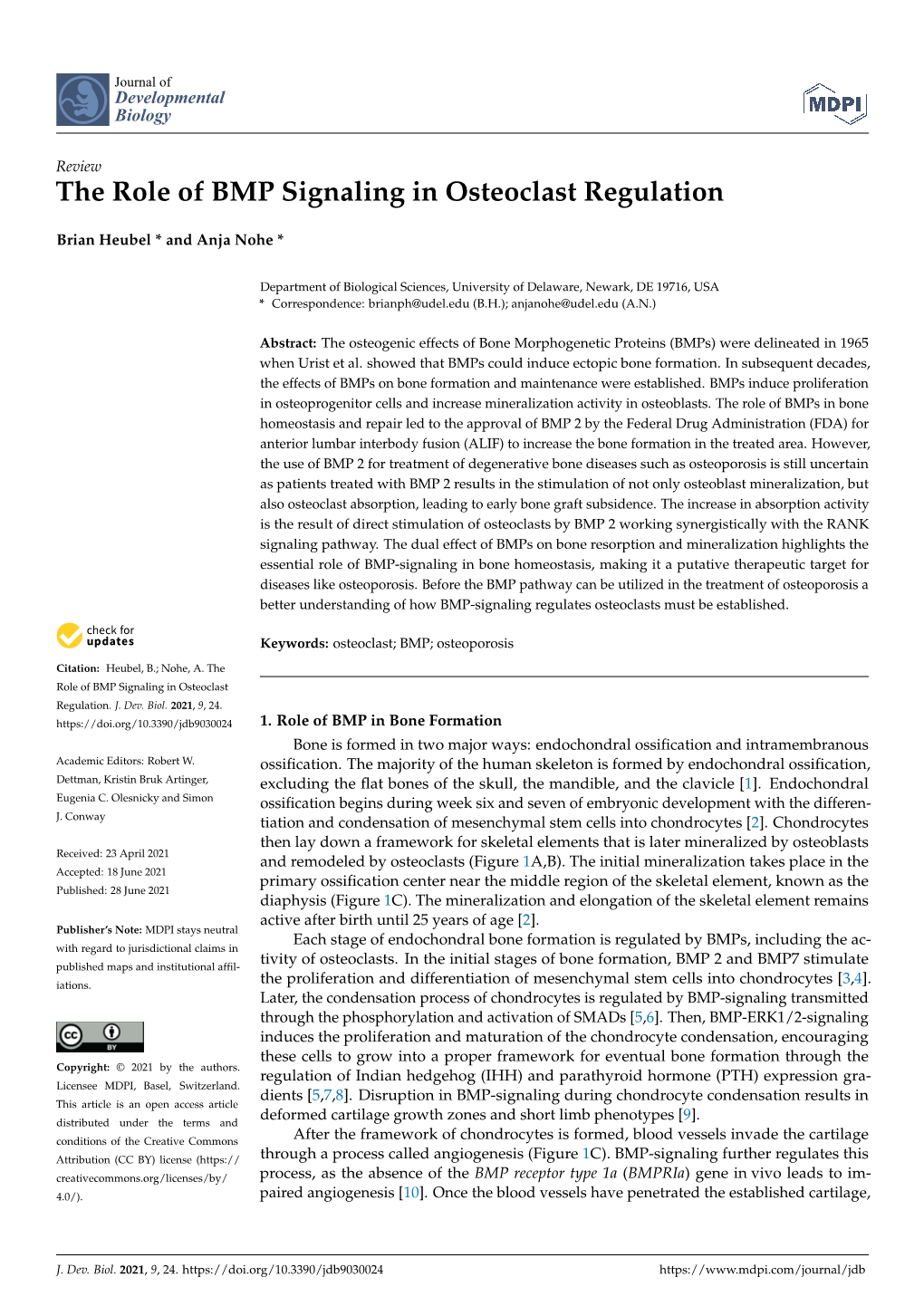 The Role of BMP Signaling in Osteoclast Regulation