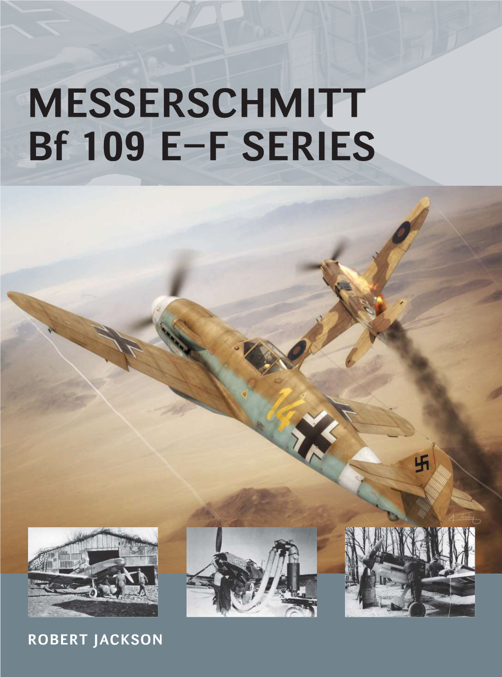 Messerschmitt Bf 109 E–F Series