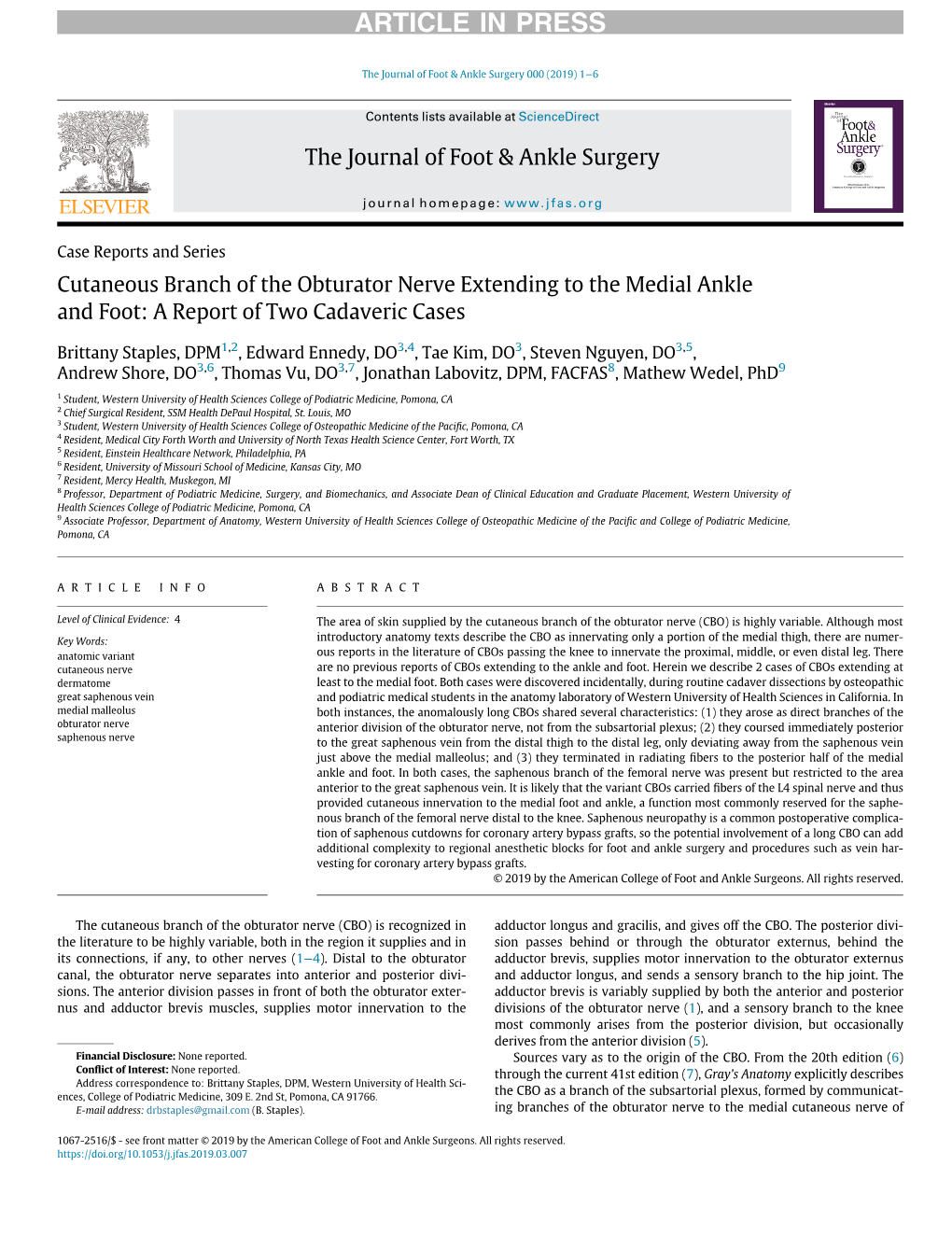 Cutaneous Branch of the Obturator Nerve Extending to the Medial Ankle and Foot: a Report of Two Cadaveric Cases