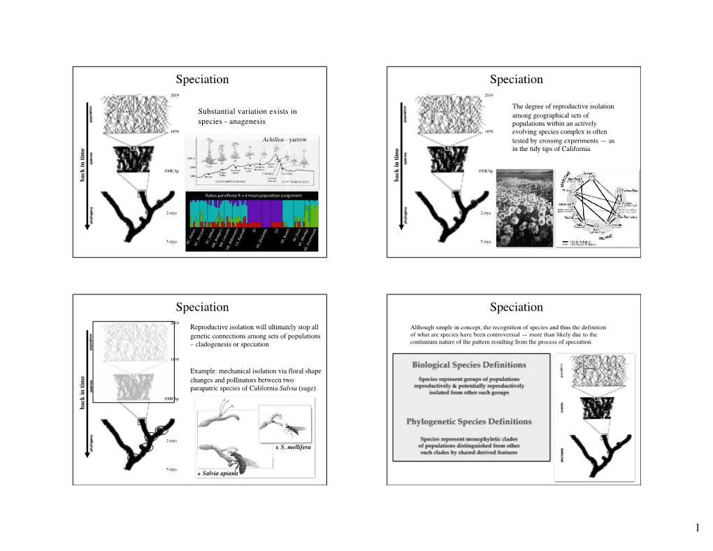 Speciation in Geographical Setting