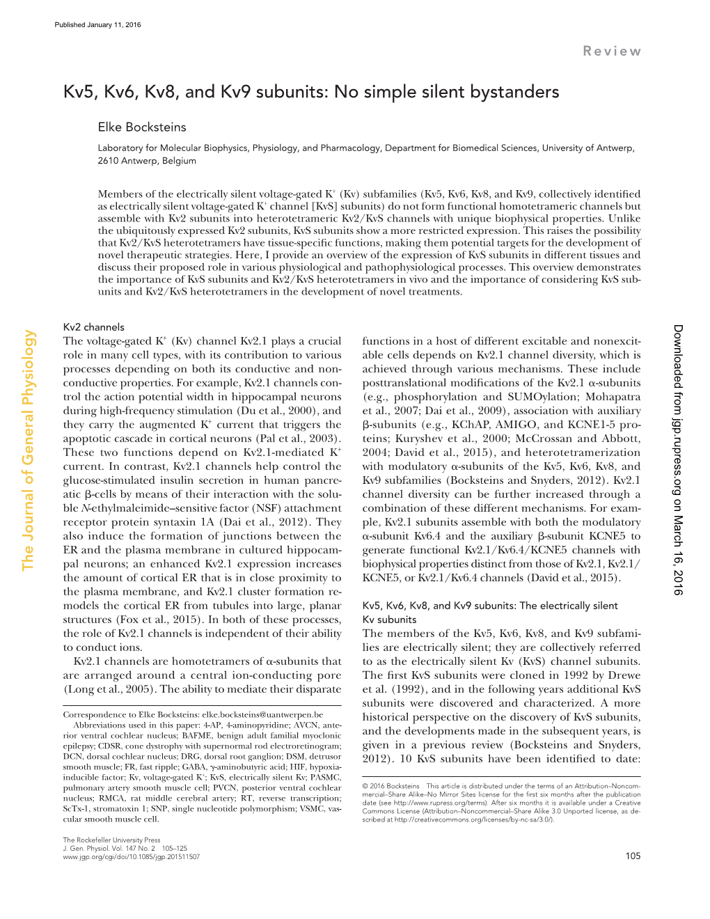 Kv5, Kv6, Kv8, and Kv9 Subunits: No Simple Silent Bystanders