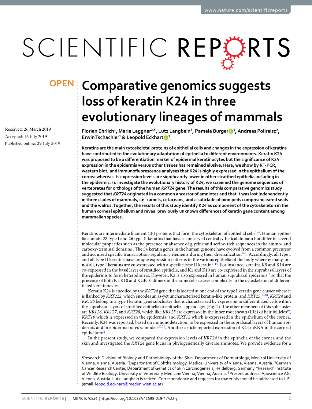 Comparative Genomics Suggests Loss of Keratin K24 in Three Evolutionary