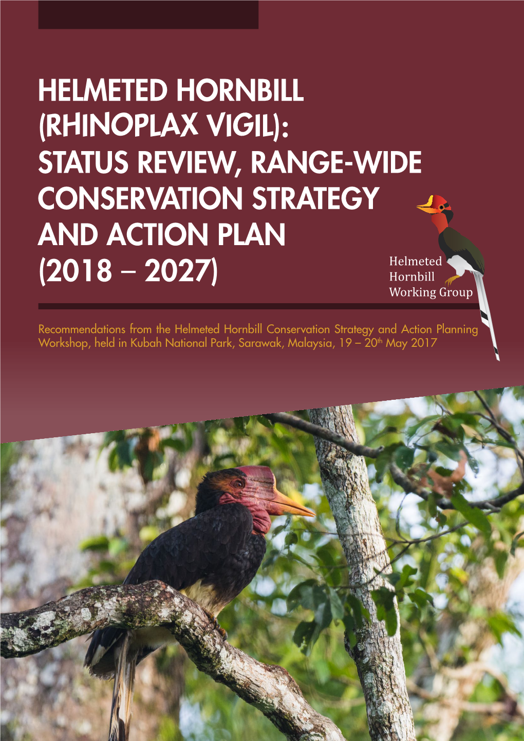 HELMETED HORNBILL (RHINOPLAX VIGIL): STATUS REVIEW, RANGE-WIDE CONSERVATION STRATEGY and ACTION PLAN Helmeted (2018 – 2027) Hornbill Working Group