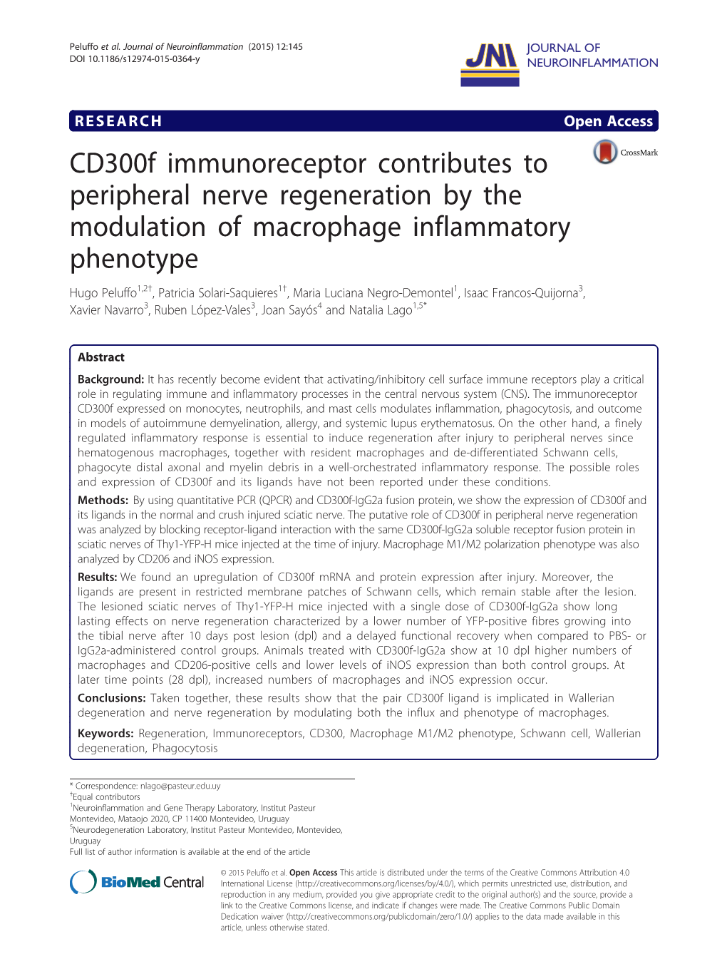 Cd300f Immunoreceptor Contributes to Peripheral Nerve Regeneration by the Modulation of Macrophage Inflammatory Phenotype