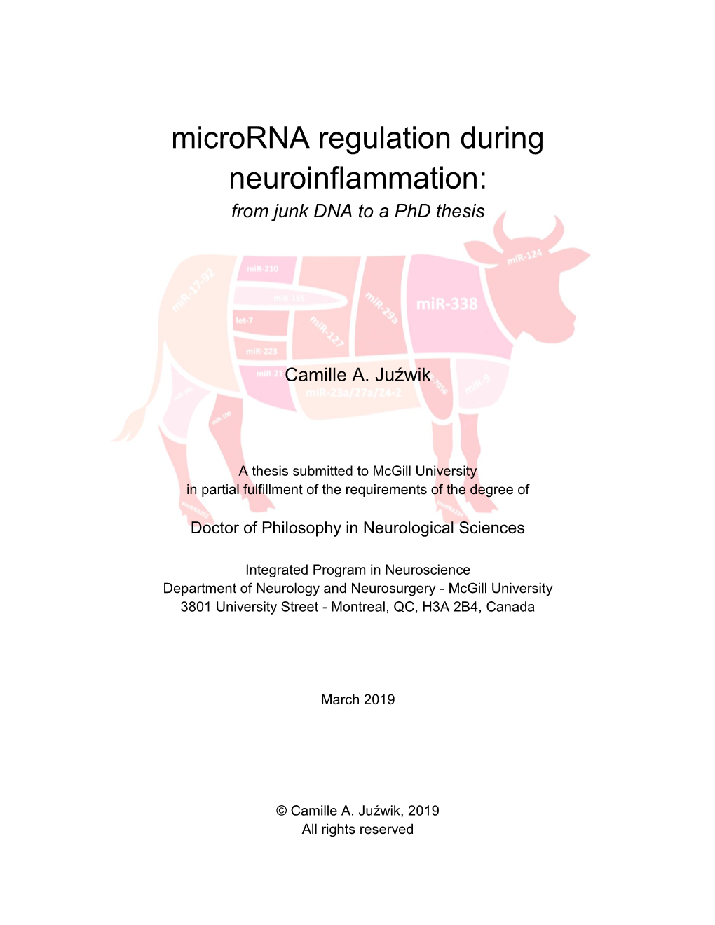 Microrna Regulation During Neuroinflammation: from Junk DNA to a Phd Thesis