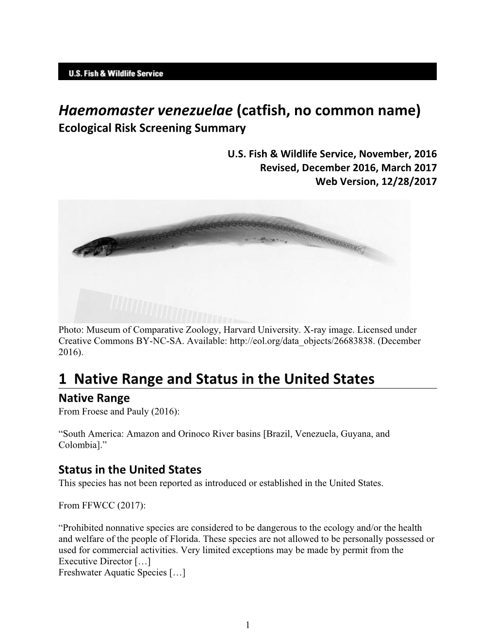 Haemomaster Venezuelae (Catfish, No Common Name) Ecological Risk Screening Summary