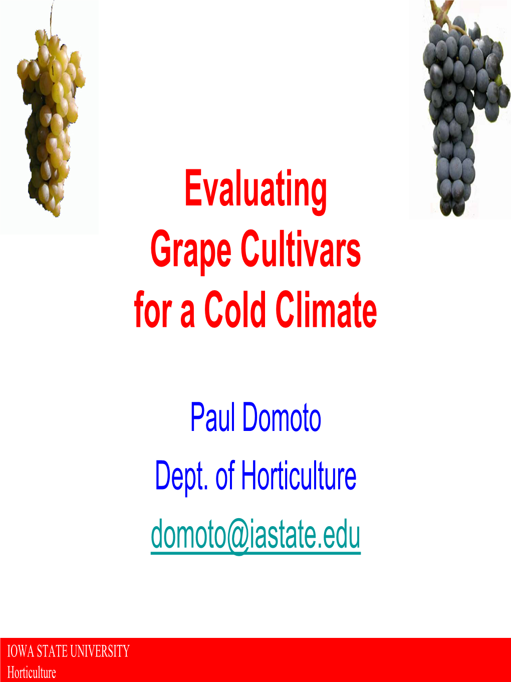 Evaluating Grape Cultivars for a Cold Climate