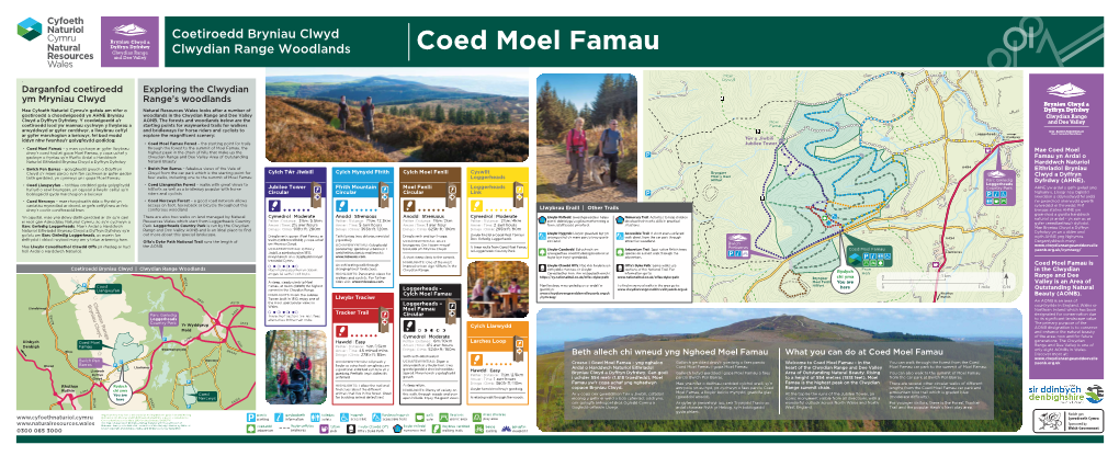 4021 NRW COED MOEL FAMAU 1420X580 Panel