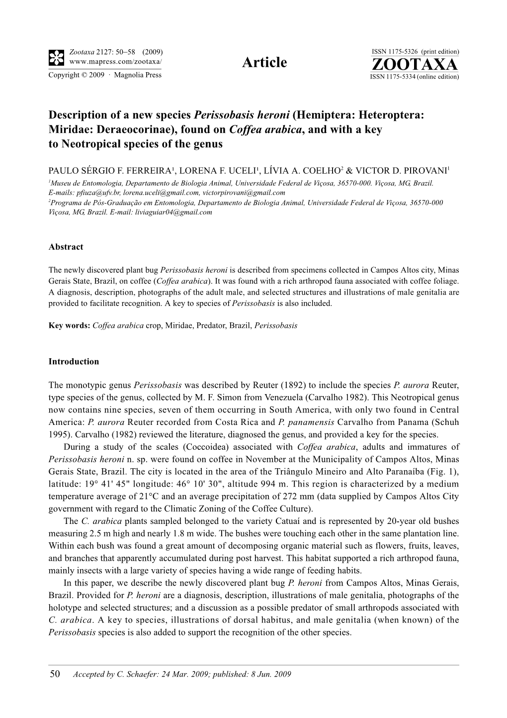 Zootaxa, Description of a New Species Perissobasis Heroni (Hemiptera