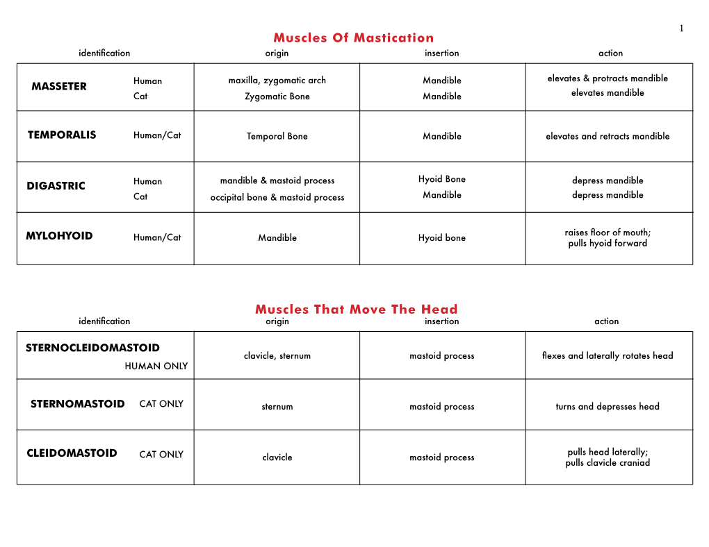 Muscles of Mastication Muscles That Move the Head