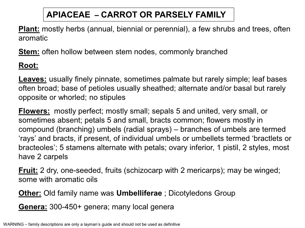 Apiaceae (Carrot Family)