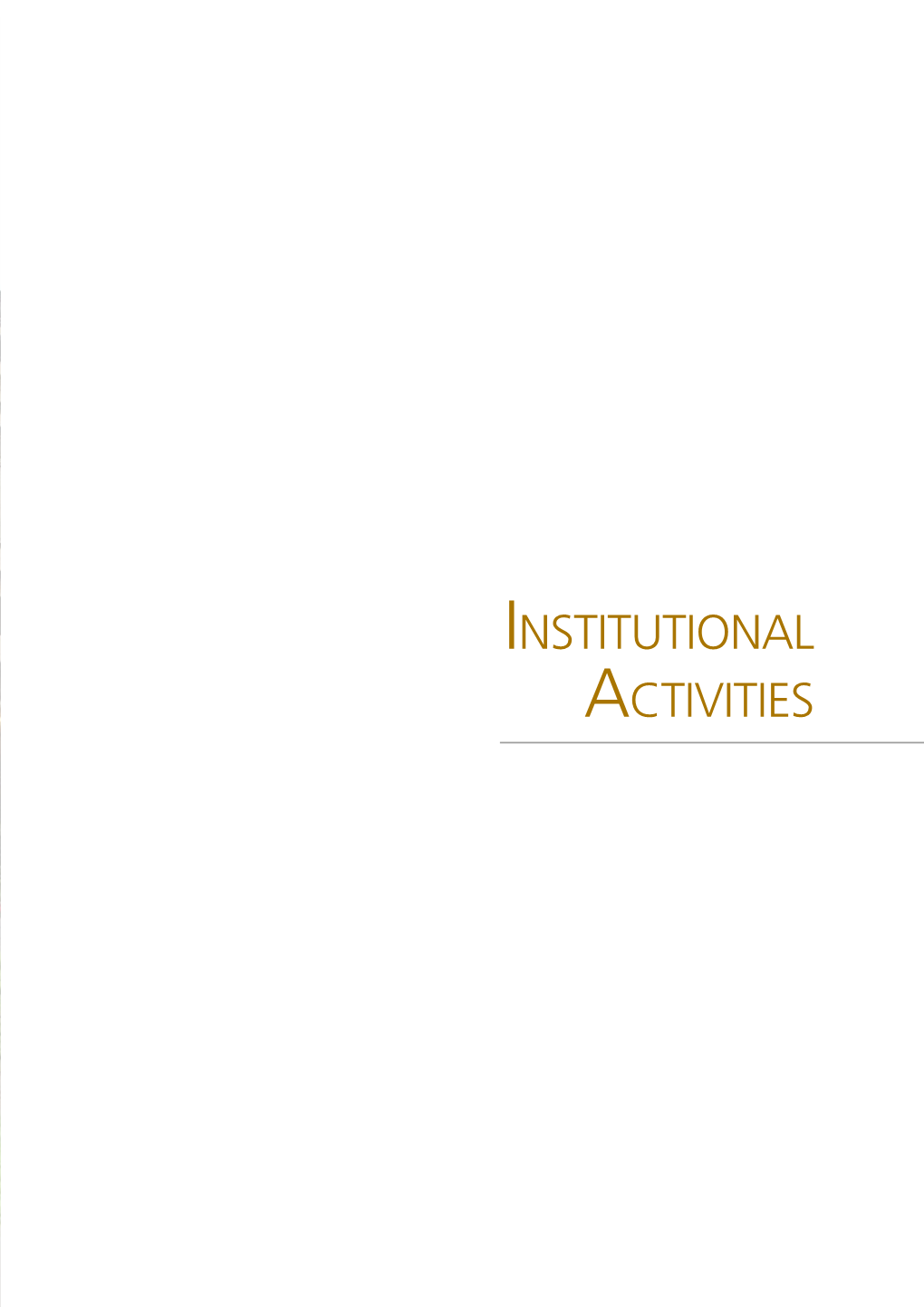 VI. Institutional Activities