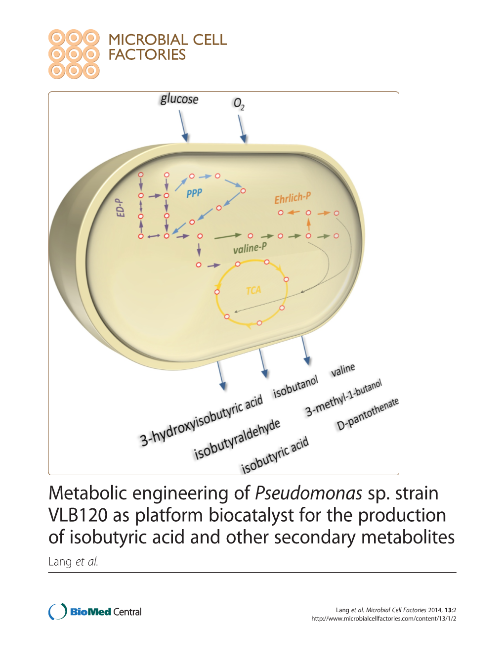 View of Bacterial Expression Systems for Heterologous 74