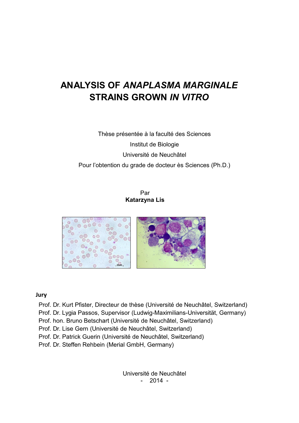 Analysis of Anaplasma Marginale Strains Grown in Vitro