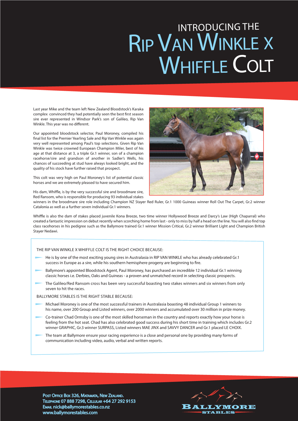 Whiffle Colt Rip Van Winkle X