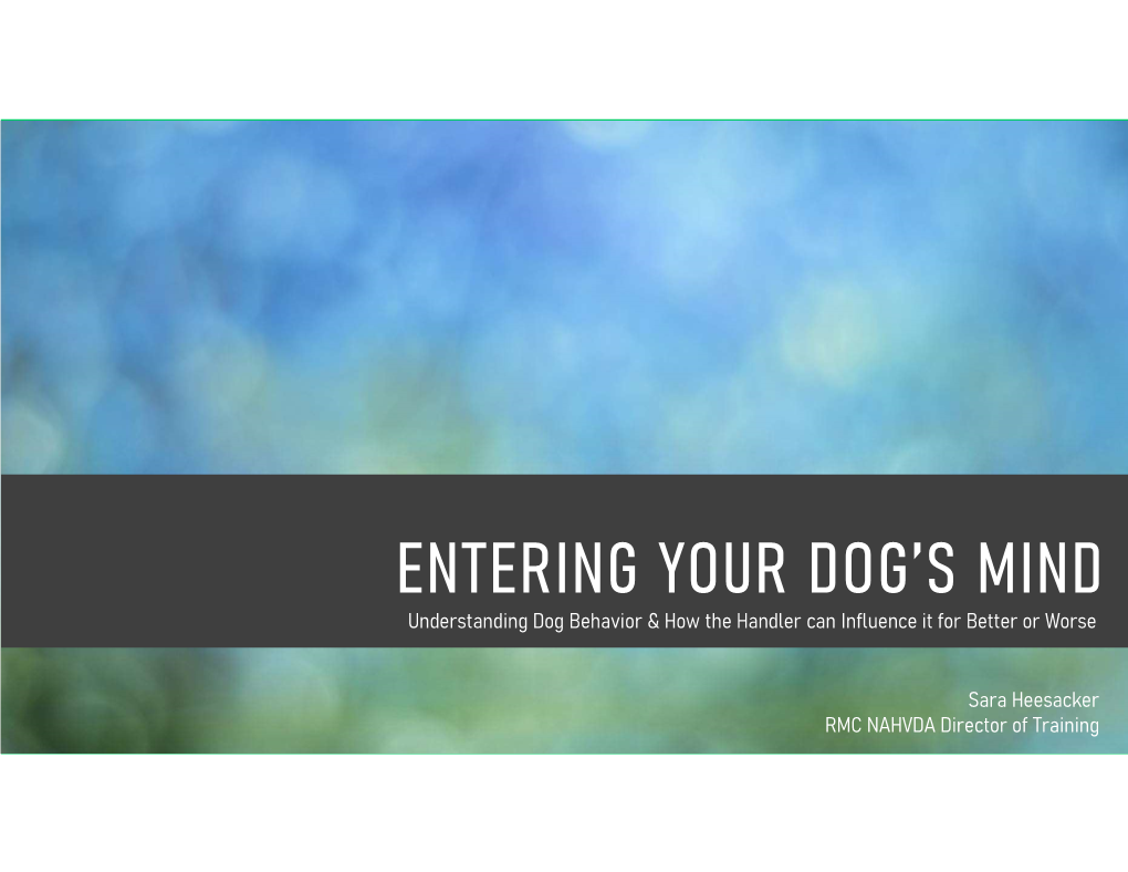 Understanding Dog Behavior & How the Handler Can Influence It For