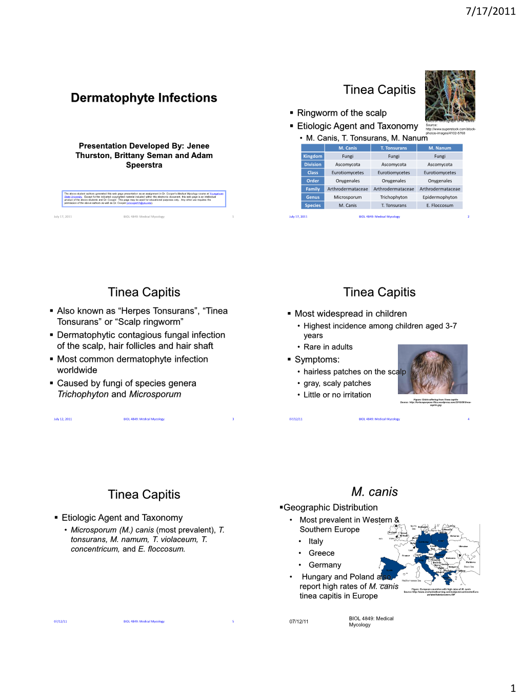 Dermatophyte Infections