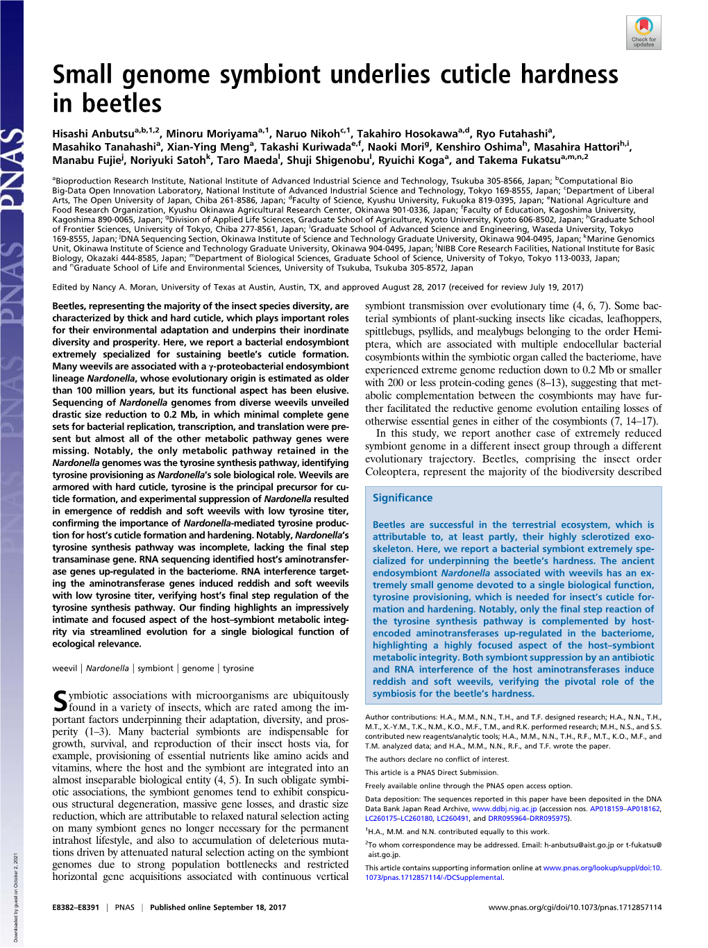 Small Genome Symbiont Underlies Cuticle Hardness in Beetles