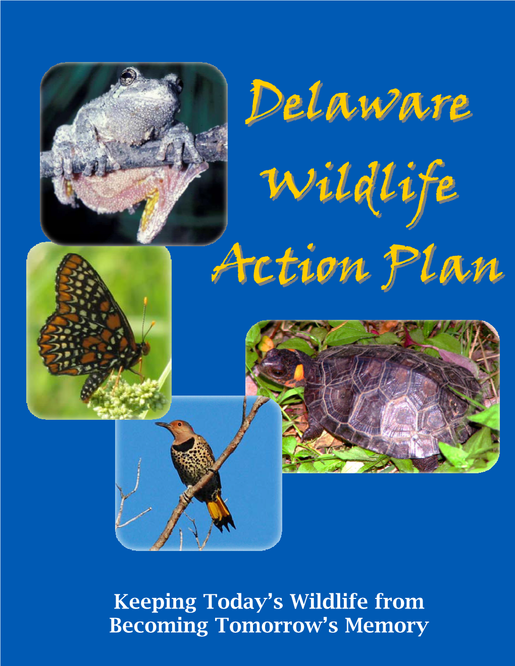 DE Wildlife Action Plan