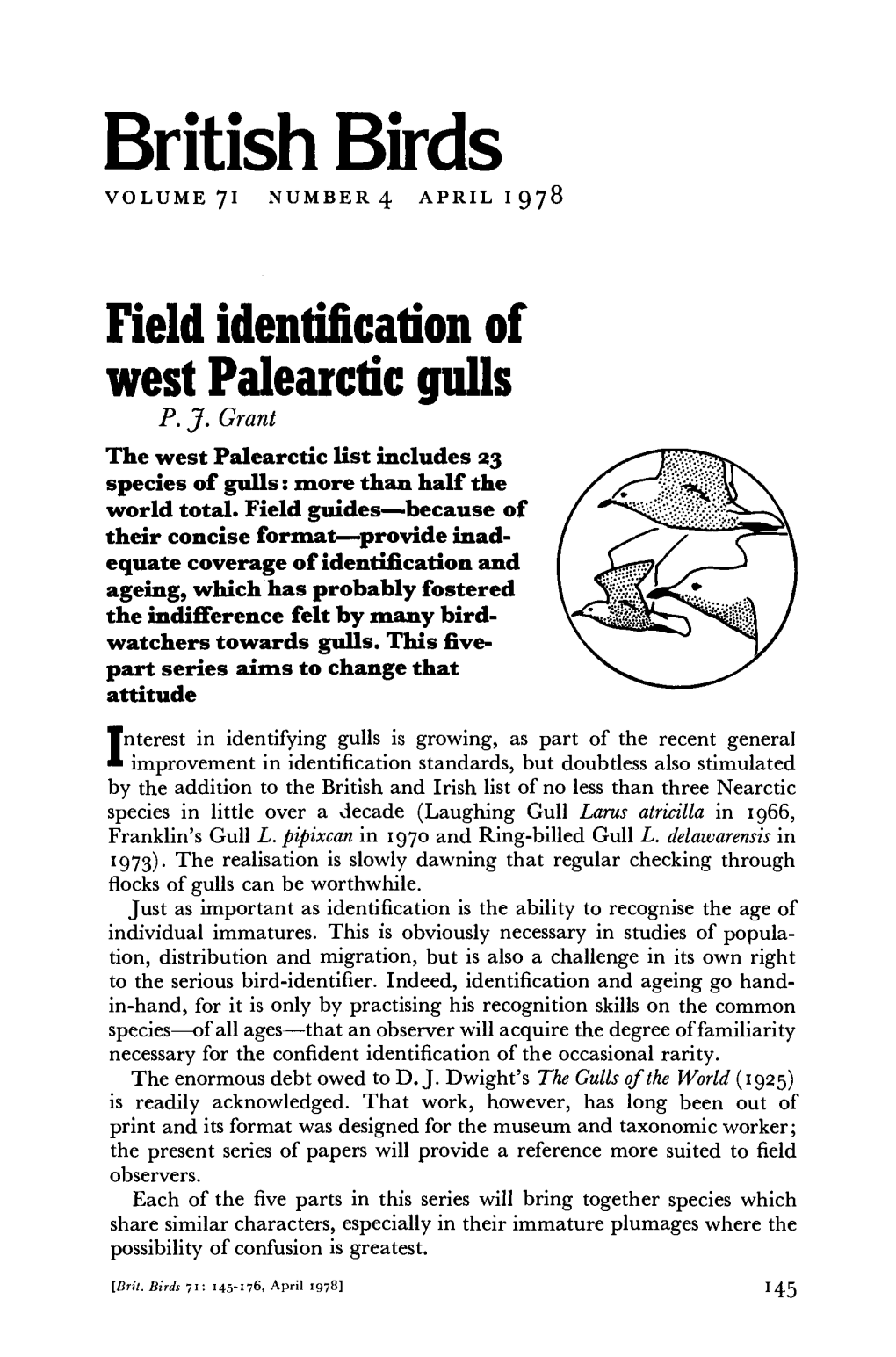 Field Identification of West Palearctic Gulls P