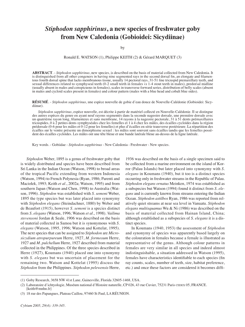 Stiphodon Sapphirinus, a New Species of Freshwater Goby from New Caledonia (Gobioidei: Sicydiinae)