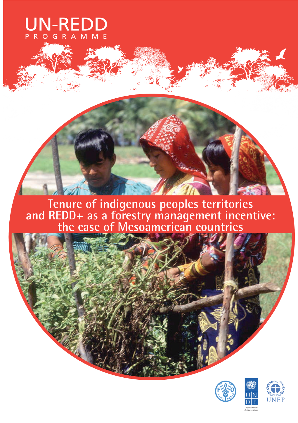 Tenure of Indigenous Peoples Territories and REDD+ As a Forestry Management Incentive: the Case of Mesoamerican Countries