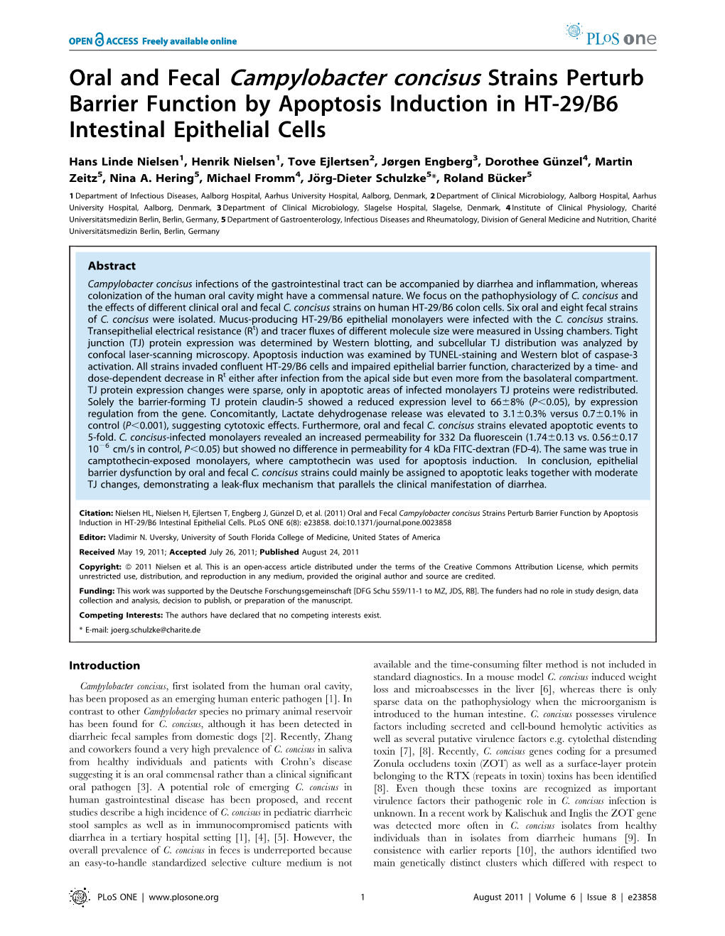 Oral and Fecal Campylobacter Concisus Strains Perturb Barrier Function by Apoptosis Induction in HT-29/B6 Intestinal Epithelial Cells