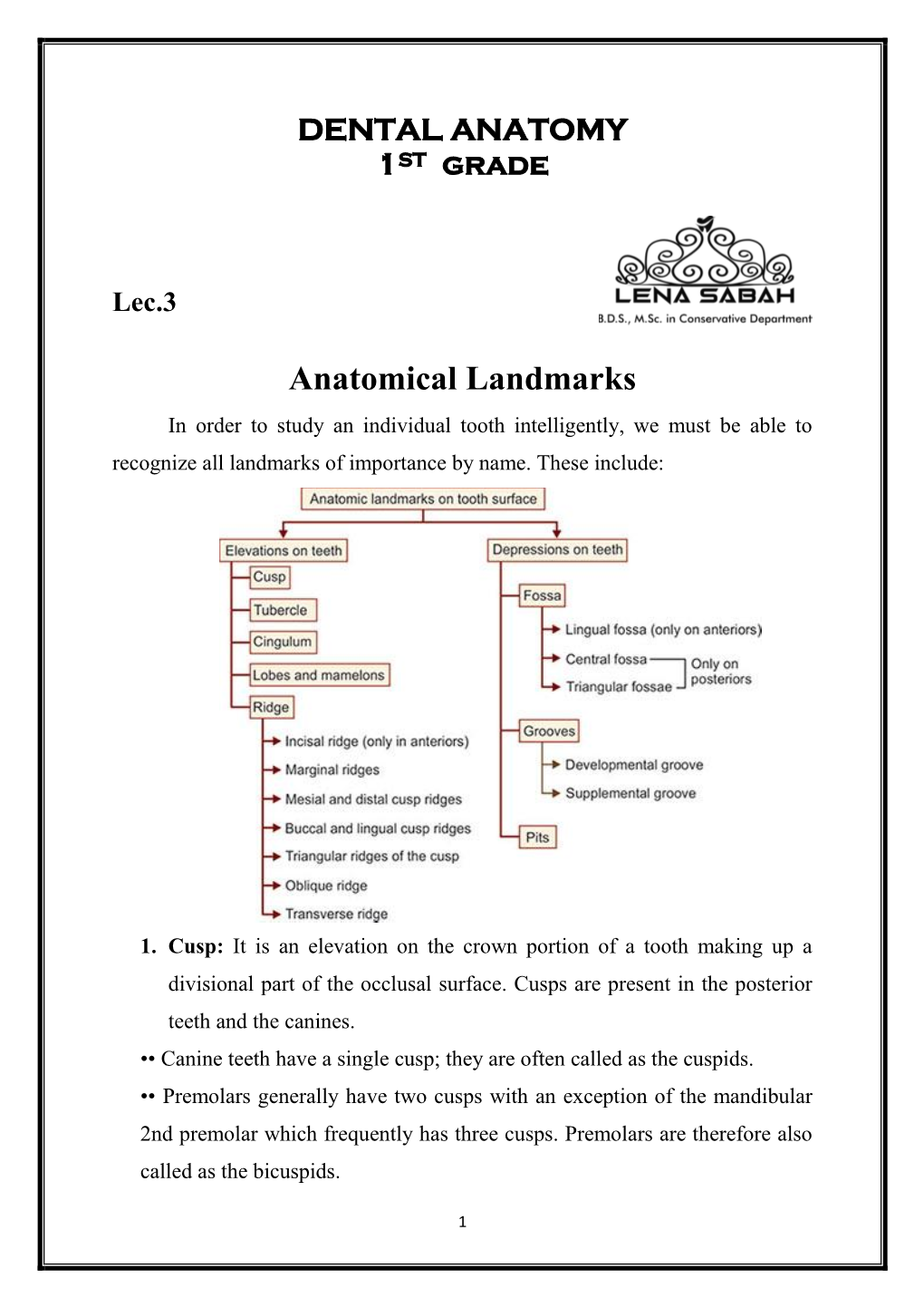 Anatomical Landmarks in Order to Study an Individual Tooth Intelligently, We Must Be Able to Recognize All Landmarks of Importance by Name