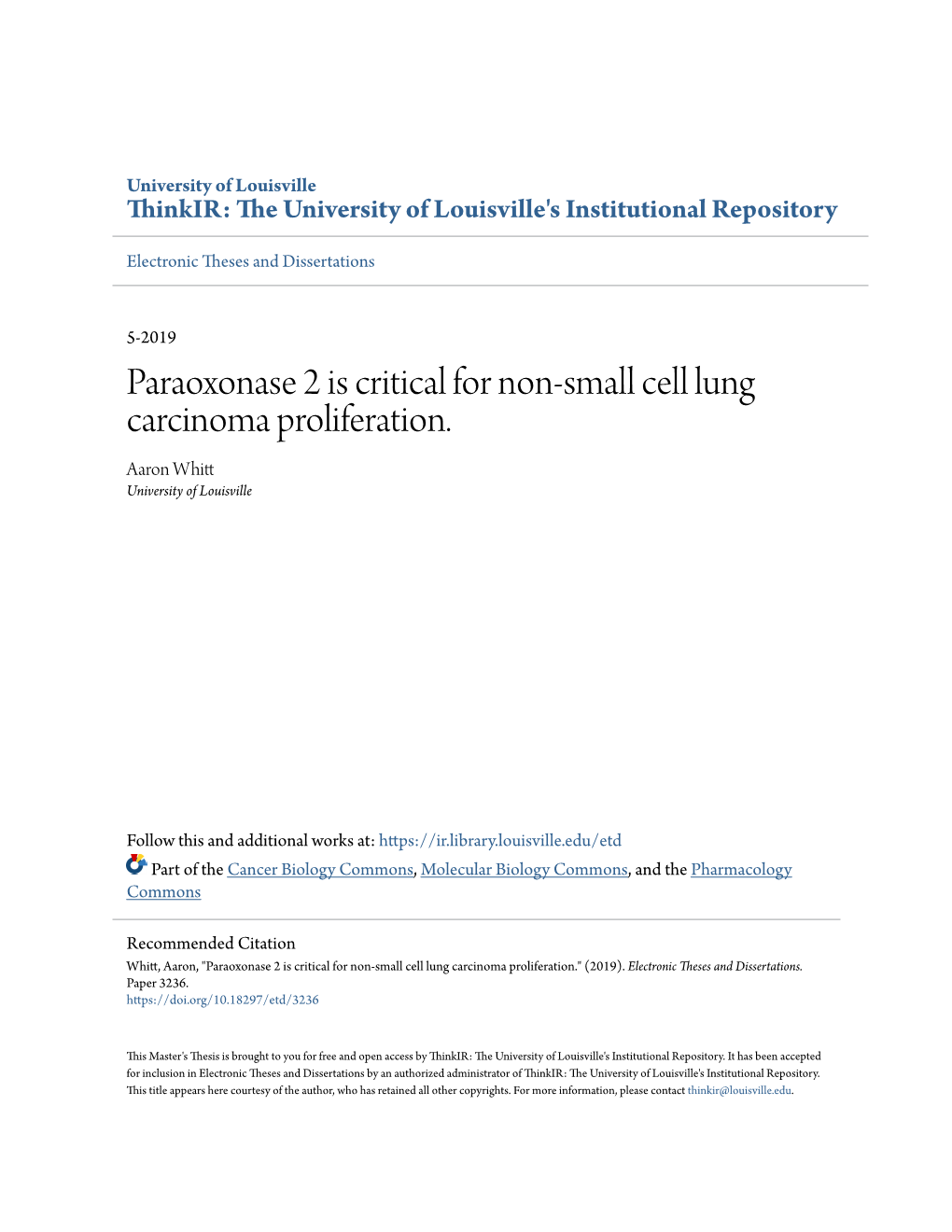 Paraoxonase 2 Is Critical for Non-Small Cell Lung Carcinoma Proliferation